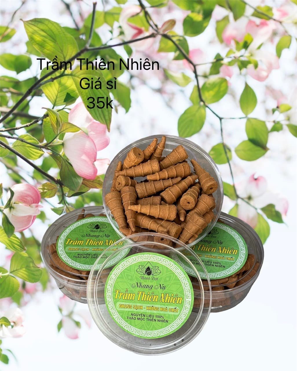 nụ trầm thiên nhiên